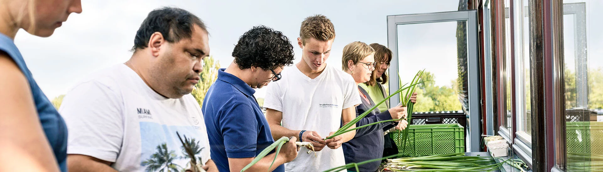 Gruppe von Menschen, die gemeinsam frisches Gemüse in einem Gewächshaus verarbeiten und sortieren.