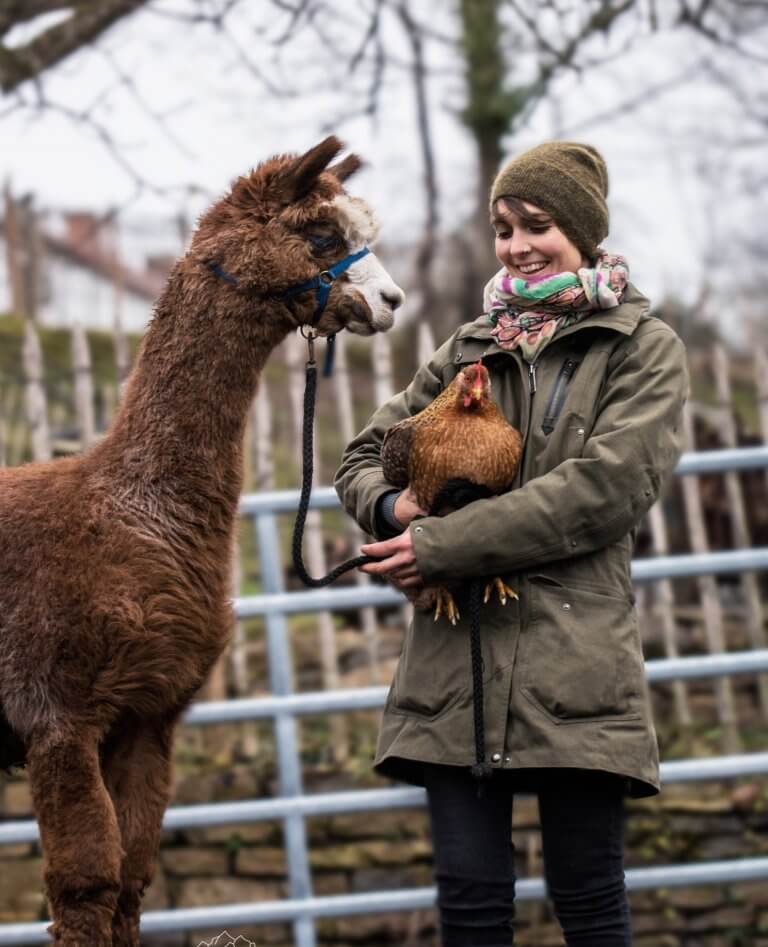 Waldmuhle Waiblingen - Frau mit Huhn auf dem Arm steht neben einem Al Paca