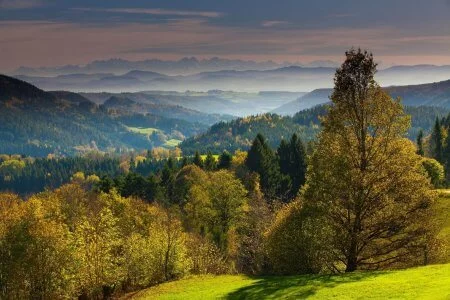 Biosphärengebiet Schwarzwald