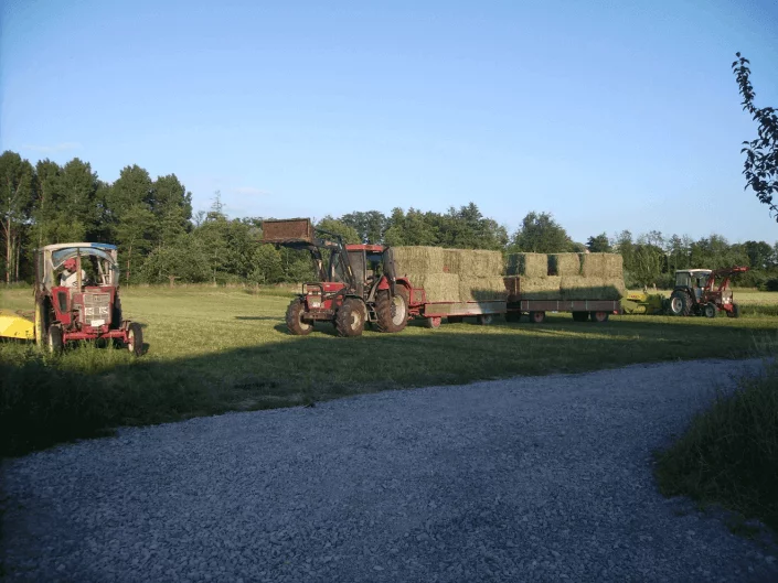 Landwirtschaftliche Arbeit auf einer Wiese, bei der Traktoren große Heuballen auf einen Anhänger laden.