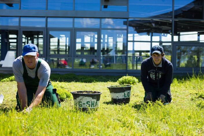 Zwei Personen arbeiten knieend beim Jäten auf einer begrünten Fläche vor einem modernen Gebäude