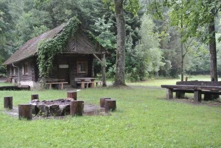 Bild des Wildgeheges