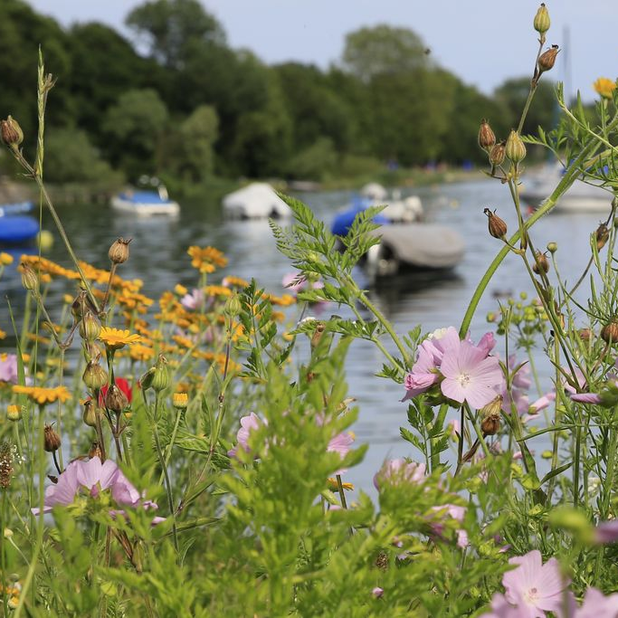 BUND Radolfzell-Möggingen