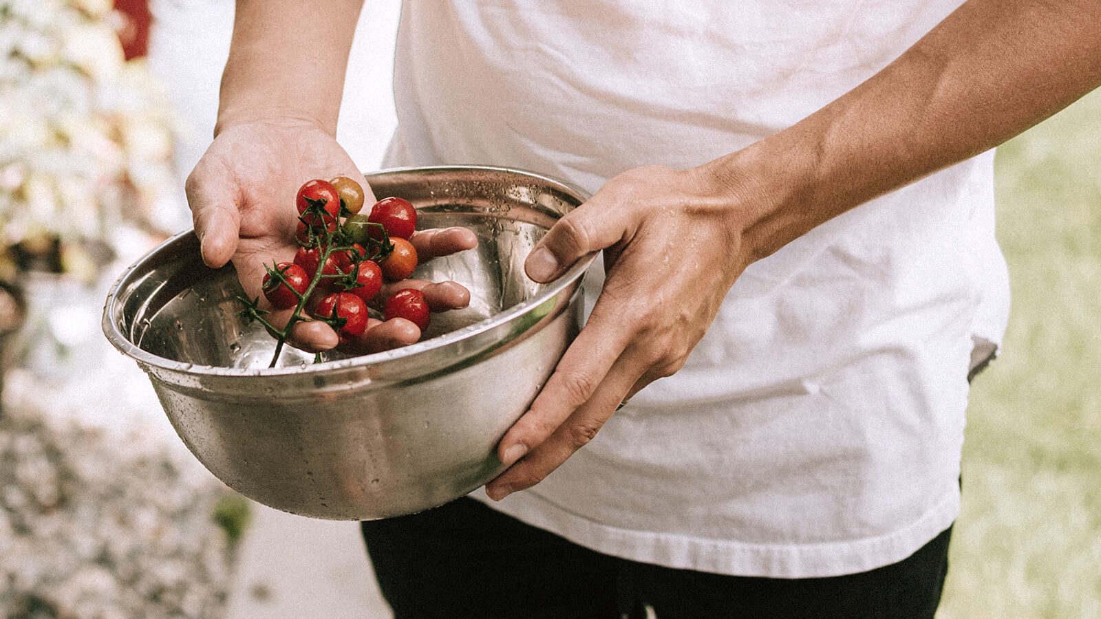 Person hält eine Schale mit frisch geernteten Tomaten, Symbol für Hauswirtschaft, Nachhaltigkeit und gesunde Ernährung.
