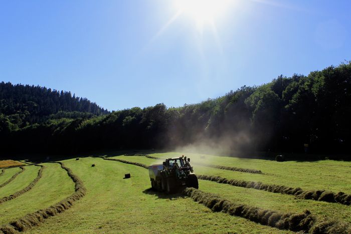 Forst–, Agrar- und Landschaftspflege-Service Jürgen Fath - Mäharbeiten auf Wiese