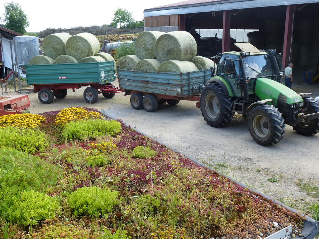 Biolandhof Kugler Haslachhof Schopfloch